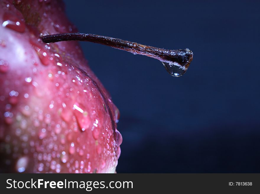 Close-up of red fresh apple with water-drops on dark background. Close-up of red fresh apple with water-drops on dark background