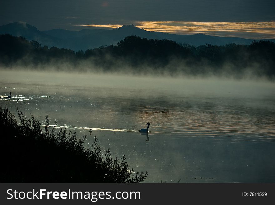 Fog on the river at the morning