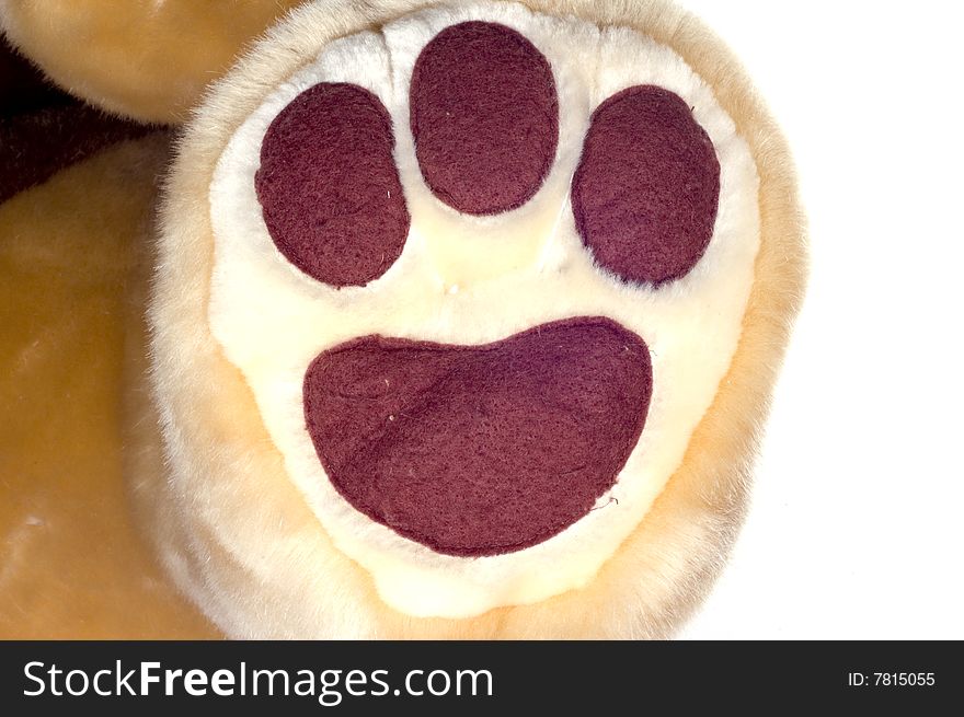 Teddybear foot on white background. Teddybear foot on white background