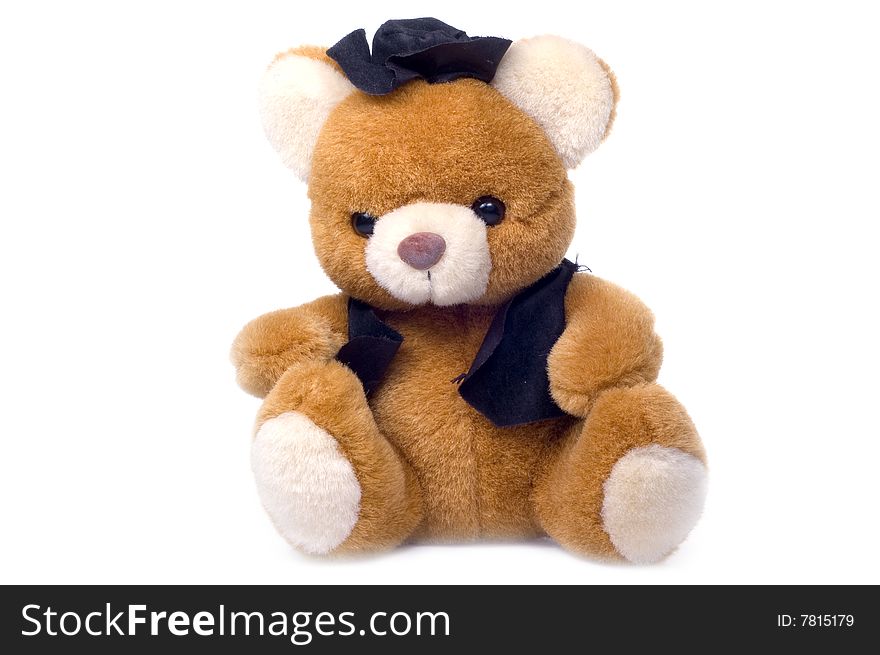 Teddybear in hat on white background