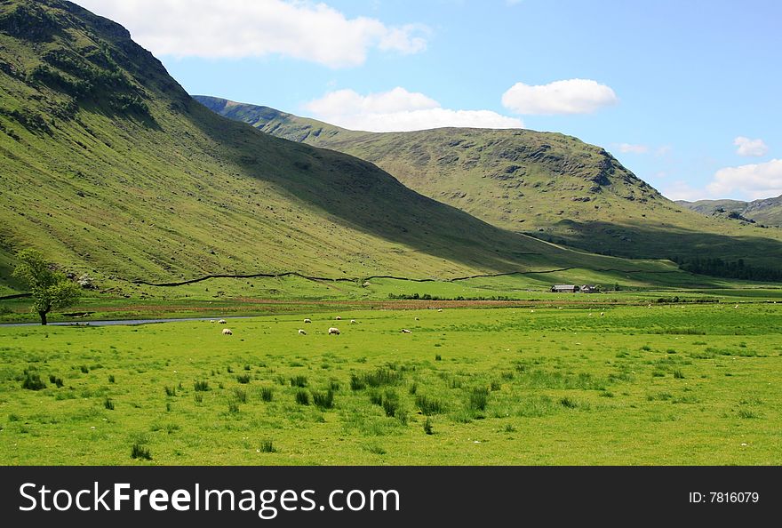 Scottish glen leading to highlands. Scottish glen leading to highlands