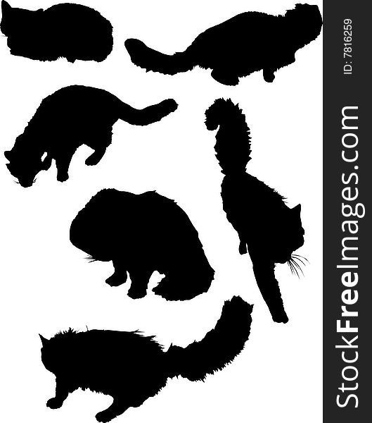 Six cat silhouettes