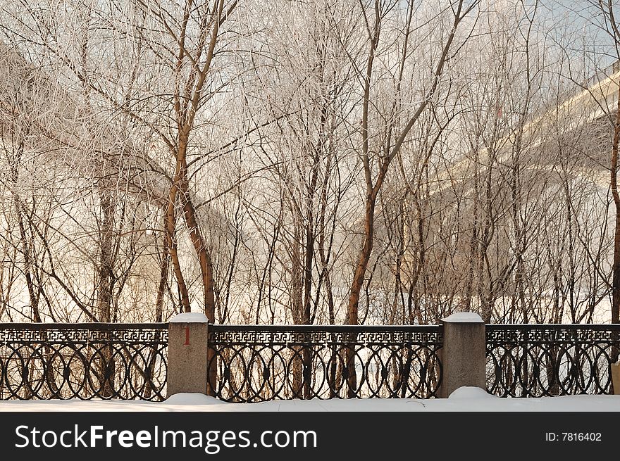 View through the trees on Two bridges through the river