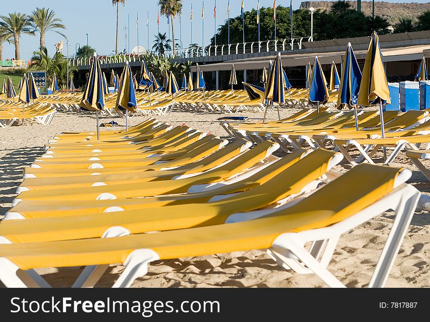 Hammocks Near The Seaside In Yellow