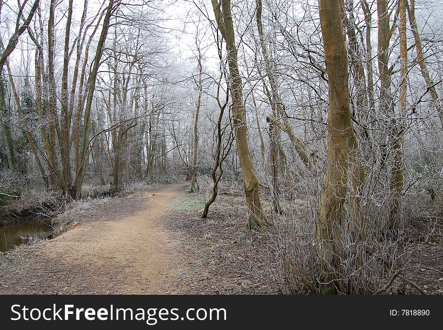 Path and stream in winter. Path and stream in winter