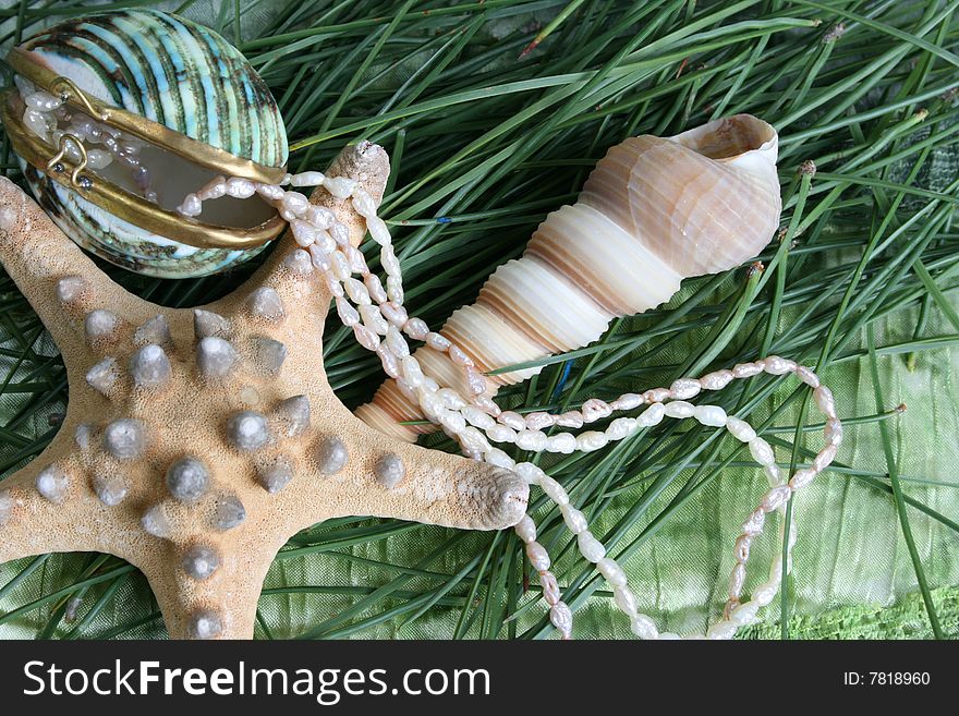 Variety of seashells and jewelery on green background