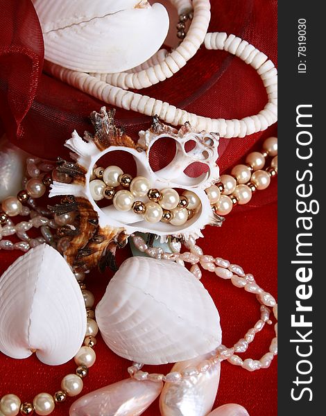 Seashells And Jewelery