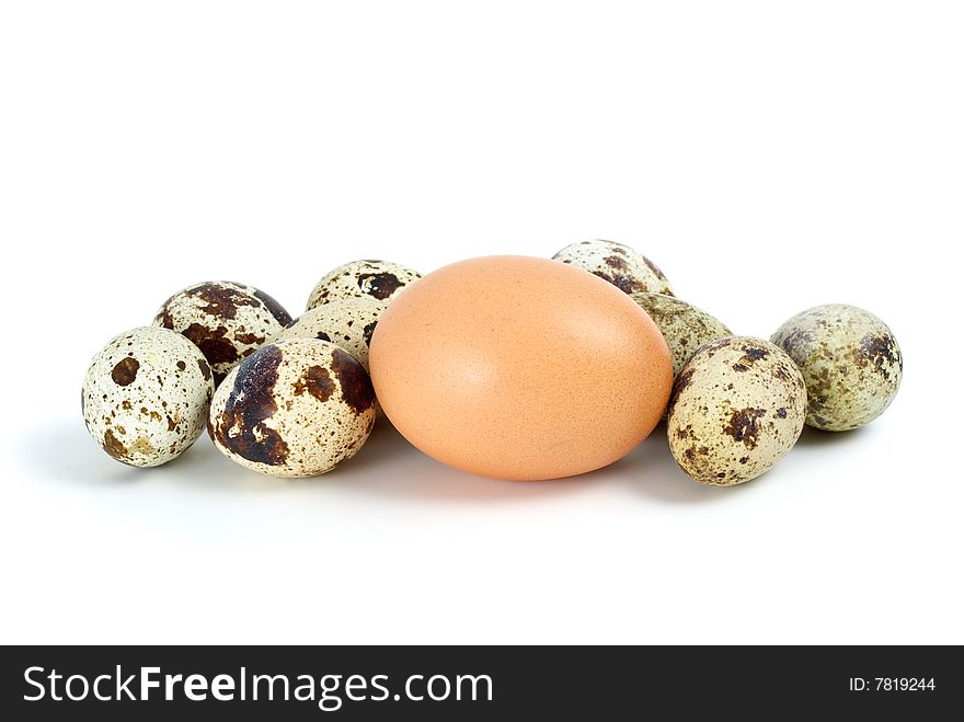 Few quail eggs and single hen egg isolated on the white background