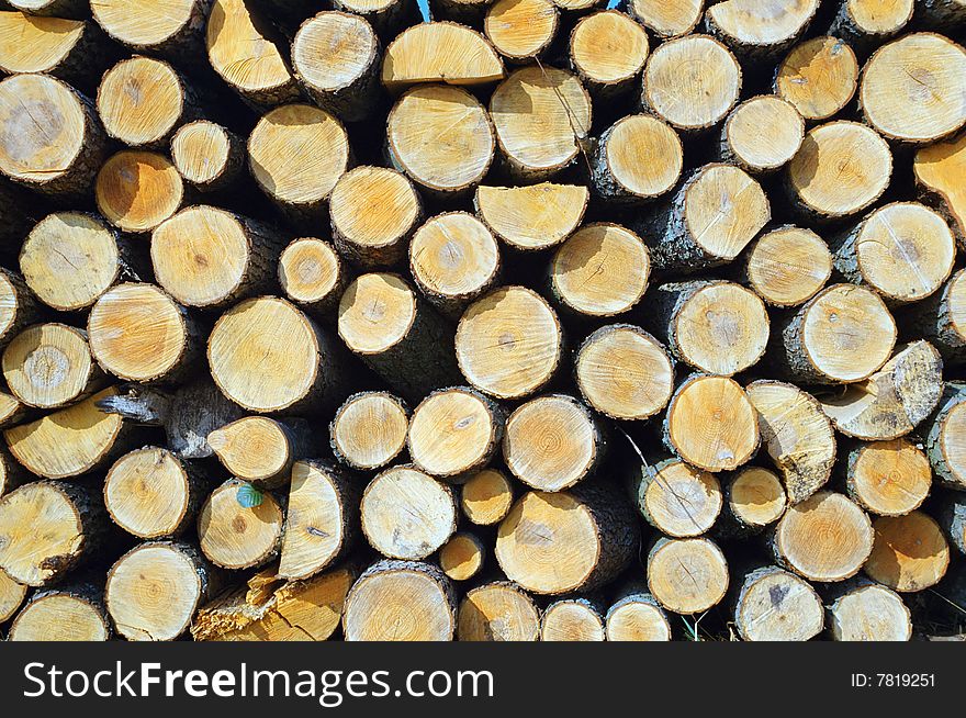 Pile wood, wood texture, felled trees