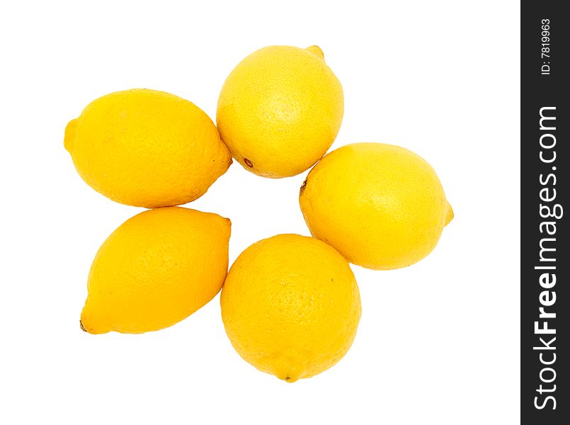 Lemons  isolated on a white background. Lemons  isolated on a white background
