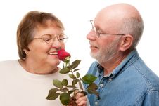 Happy Senior Couple With Red Rose Royalty Free Stock Photo Happy Senior Couple With Red Rose Royalty Free Stock Photo