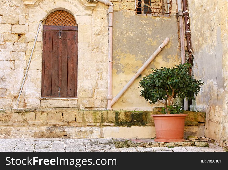 A potted tree next to an old door in Birgu, Malta. A potted tree next to an old door in Birgu, Malta