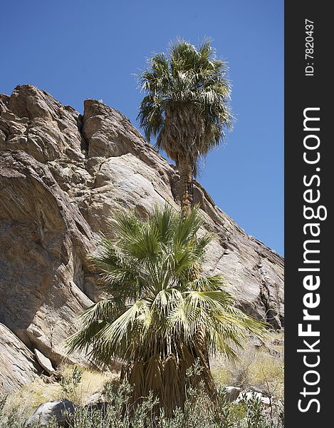 Agua Caliente Indian Reservation Palm Springs