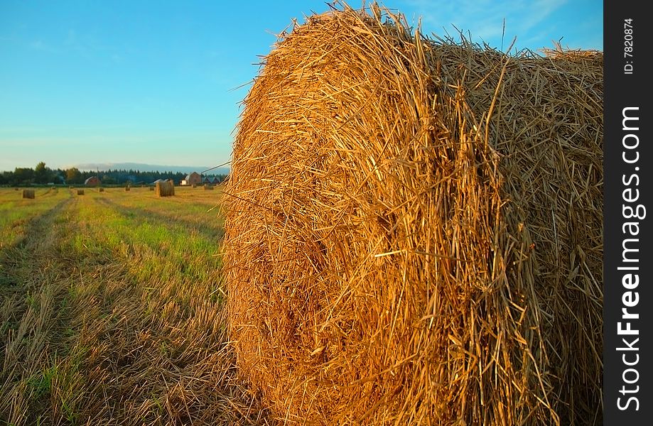 A stack of hay in sunny weather