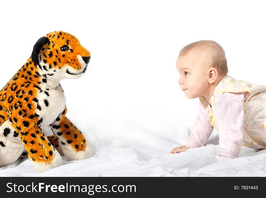 Baby playing with tiger toy on white. Baby playing with tiger toy on white