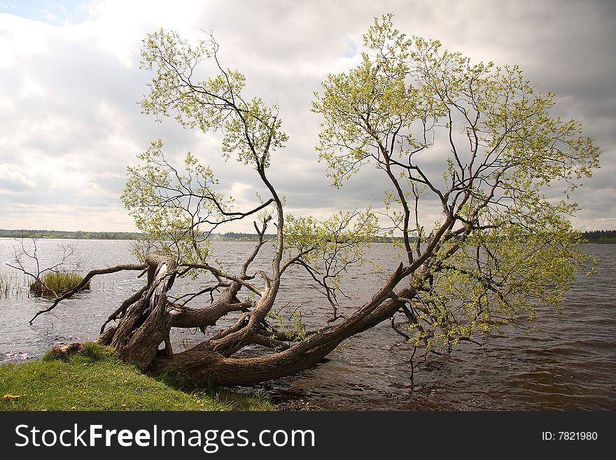 Kind on lake in the summer