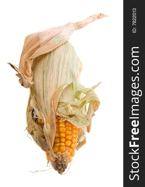 Close-up single dried corn, isolated on white. Close-up single dried corn, isolated on white