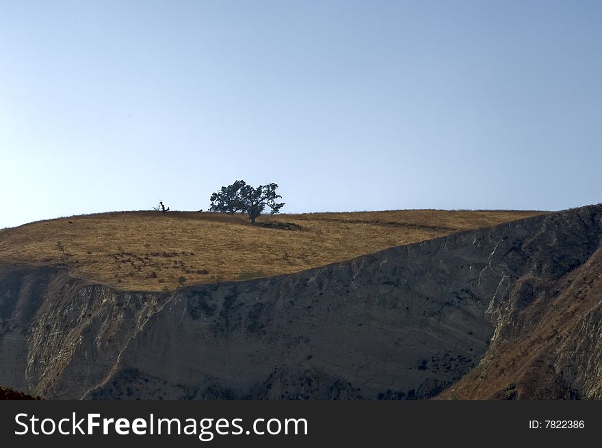 Lone Oak tree on dry canyon slopes near Simi Valley, California.
