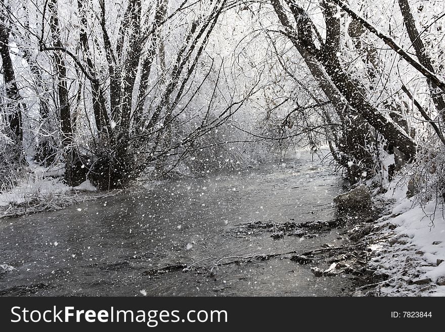 Snow falls on a winter day along a river bank. Snow falls on a winter day along a river bank