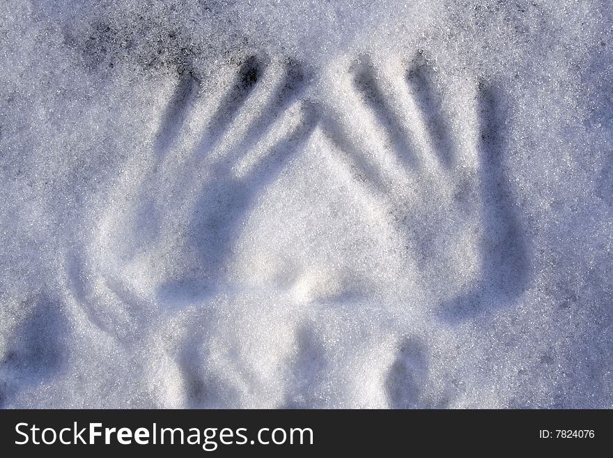 Hand-print on the snow. Hand-print on the snow