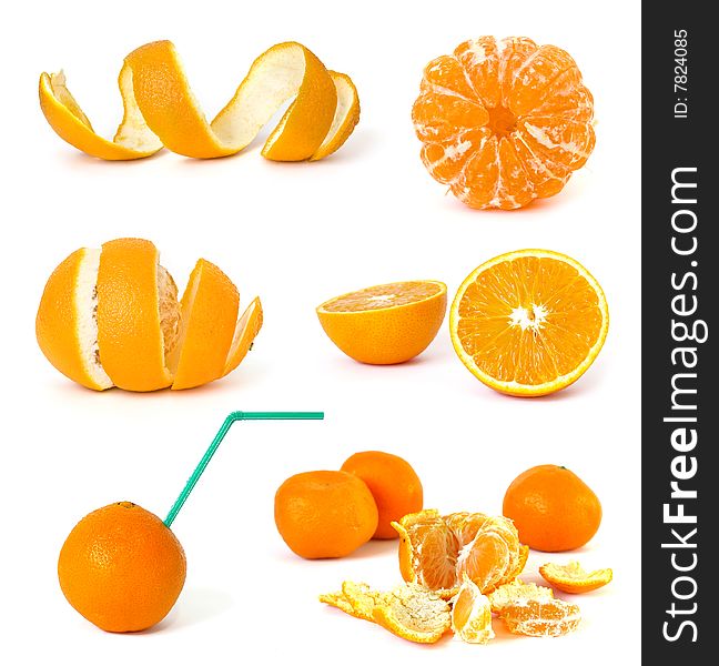 Collection of citrus on a white background