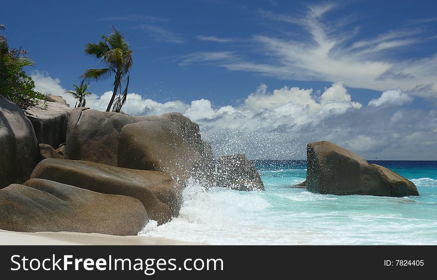 The picture was shot at the island of Grande Soeur, Seychelles, 2008. The picture was shot at the island of Grande Soeur, Seychelles, 2008.