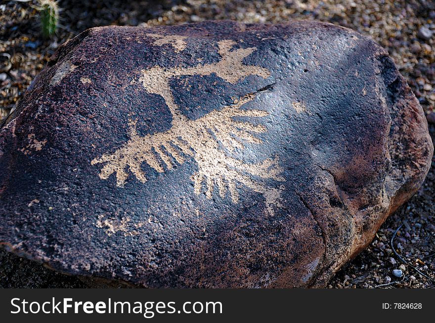 A rock with a Native American petroglyph of a bird. A rock with a Native American petroglyph of a bird.
