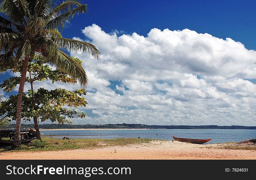 A beach in brazilian northeast. A beach in brazilian northeast.