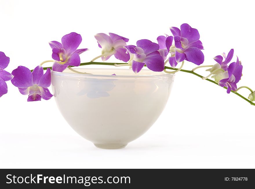 Bowl with water and pink orchid