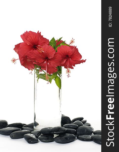 Red flowers in vase with stones