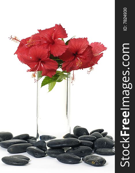 Red flowers in vase with stones