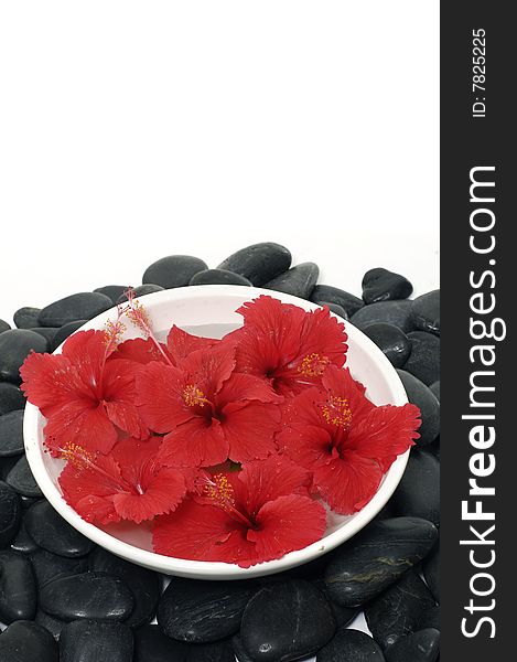 Red flowers in vase with stones. Red flowers in vase with stones