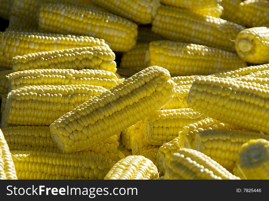 The corn in market ,under the sun