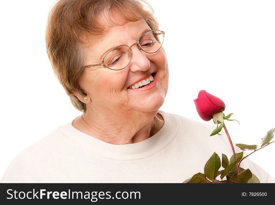 Attractive Senior Woman with Red Rose Isolated on a White Background.