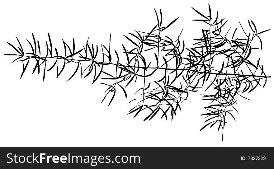 Branch Silhouette 01 - detailed illustration as vector