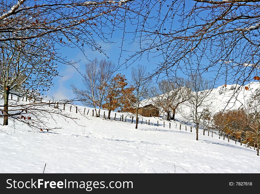 Mountain with snow - winter landscape