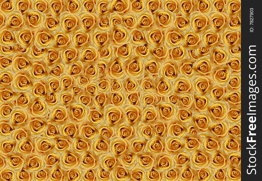 Yello Roses