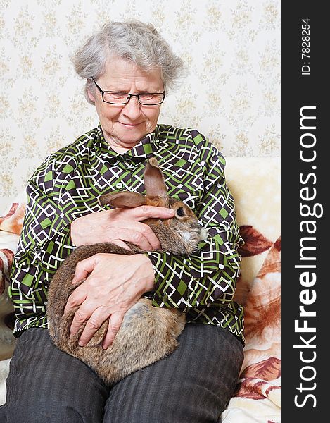 Smiling grandmother hold on hands bunny. Smiling grandmother hold on hands bunny