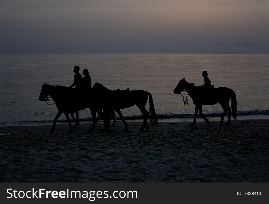 Silhouettes of riders on dawn