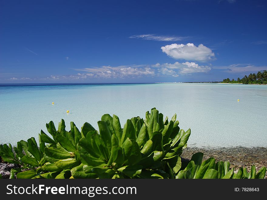 Tropical azure lagoon in the Indian ocean. Tropical azure lagoon in the Indian ocean.