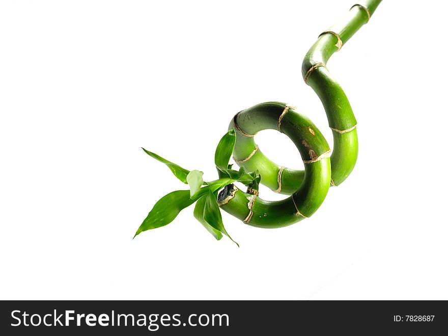 Green bamboo isolatd on white background 11. Green bamboo isolatd on white background 11