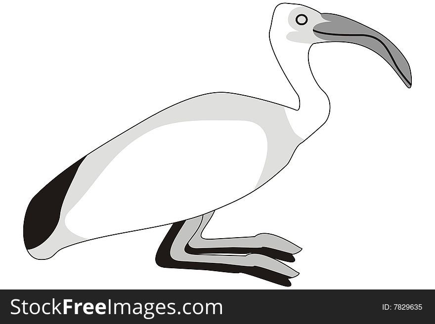 Art illustration of a bird named sacred ibis, threskiornis aethiopica, the god of time and universe in the egyptian mythology