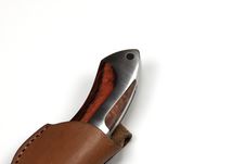 Free Haft Of Huntig Knife Royalty Free Stock Photo - 7831235