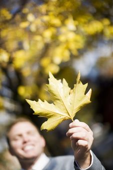 Man Holding Leaf Stock Photo Man Holding Leaf Stock Photo