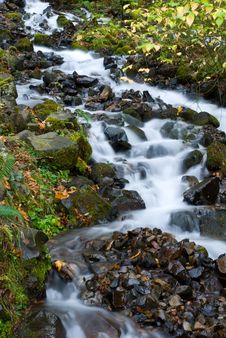 A Stream In The Columbia River Gorge Stock Images