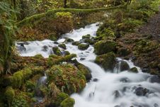A Tributary River In The Columbia River Gorge Stock Photos A Tributary River In The Columbia River Gorge Stock Photos