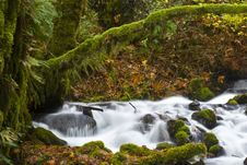 A Tributary River In The Columbia River Gorge Royalty Free Stock Images A Tributary River In The Columbia River Gorge Royalty Free Stock Images