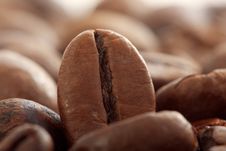 Coffee Beans Royalty Free Stock Image Coffee Beans Royalty Free Stock Image