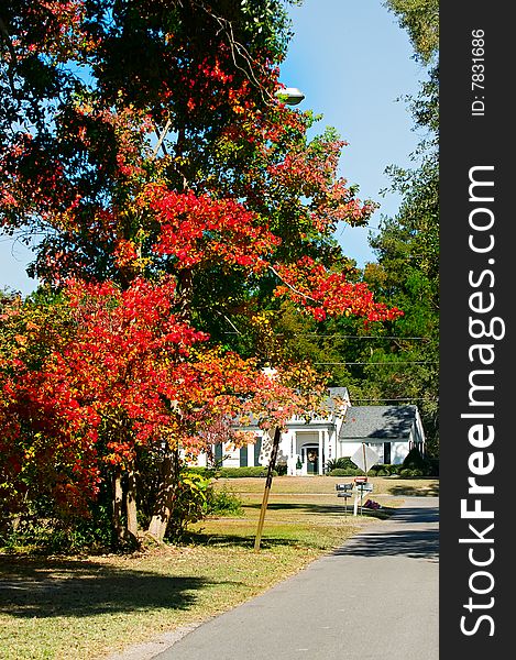 Blue sky and fall leaves with a traditional home in the background.