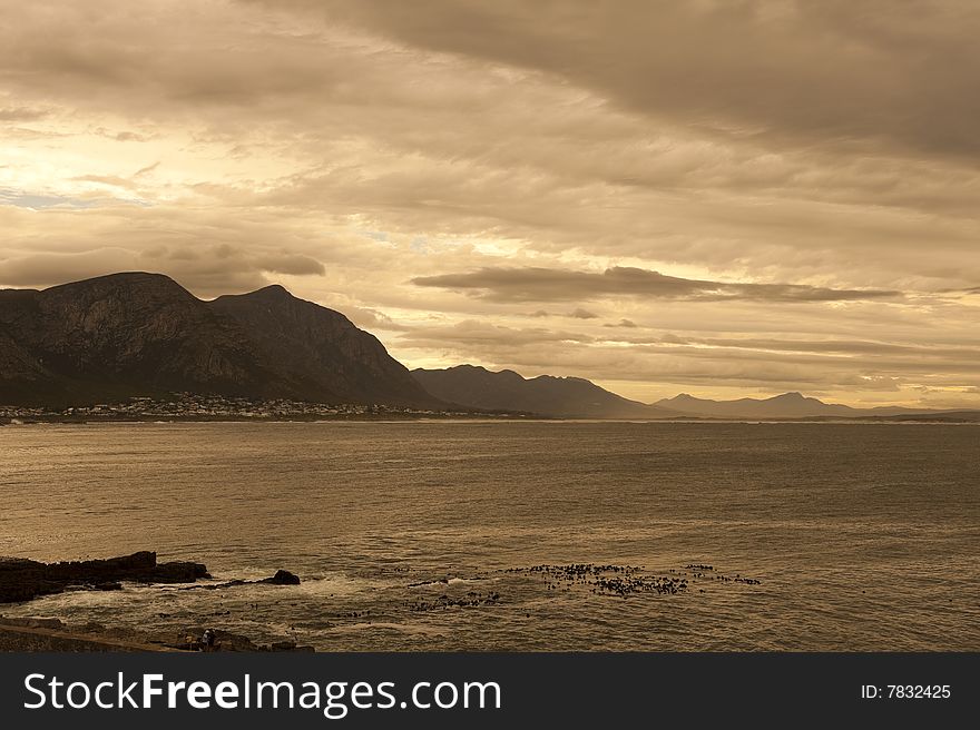 Hermanus is one of the most sought after holiday destinations for eco-tourist and nature lovers. Home of the Southern Right whale it offers everything from whale watching to shark-cage diving, paragliding to golfing. Hermanus is one of the most sought after holiday destinations for eco-tourist and nature lovers. Home of the Southern Right whale it offers everything from whale watching to shark-cage diving, paragliding to golfing.